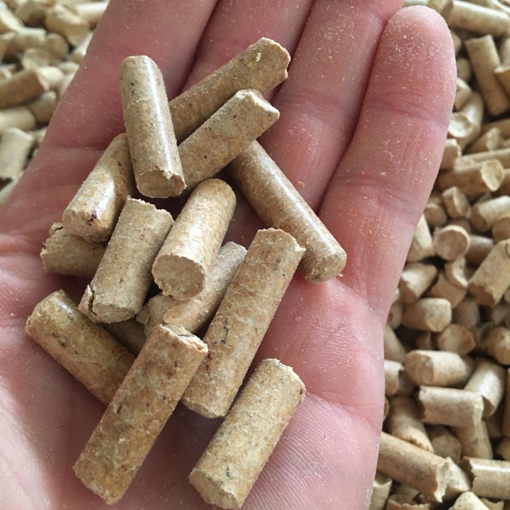 WhatsApp Image 2024-11-16 at 05.52.00