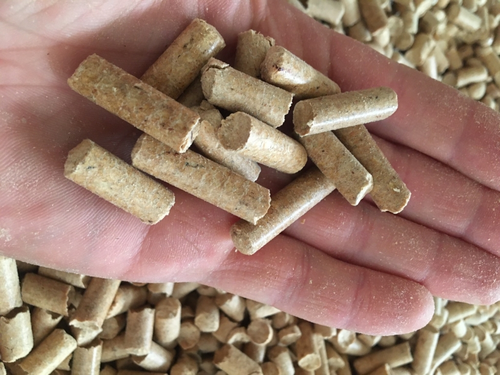 WhatsApp Image 2024-11-16 at 05.52.32