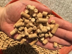 WhatsApp Image 2024-11-16 at 05.53.01