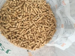 WhatsApp Image 2024-11-16 at 05.53.05