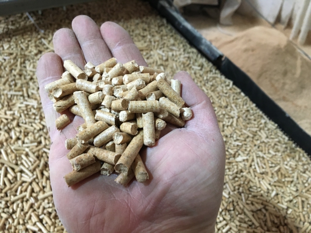 WhatsApp Image 2024-11-16 at 05.53.23 (1)