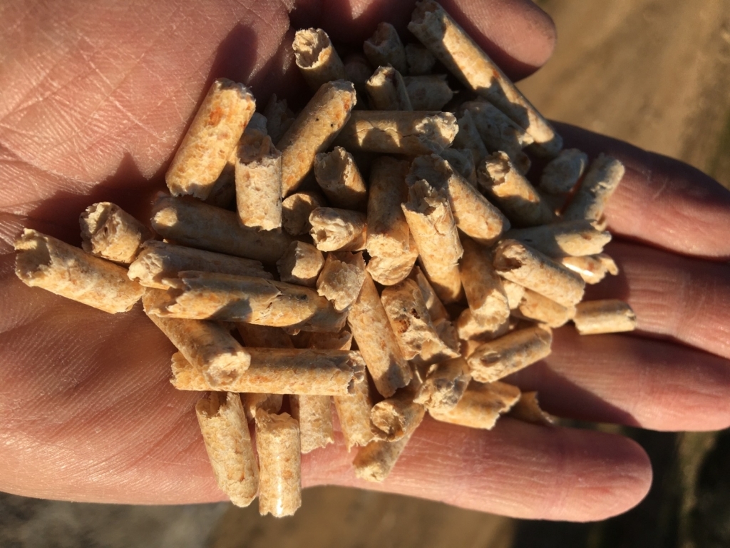 WhatsApp Image 2024-11-16 at 05.53.23 (2)