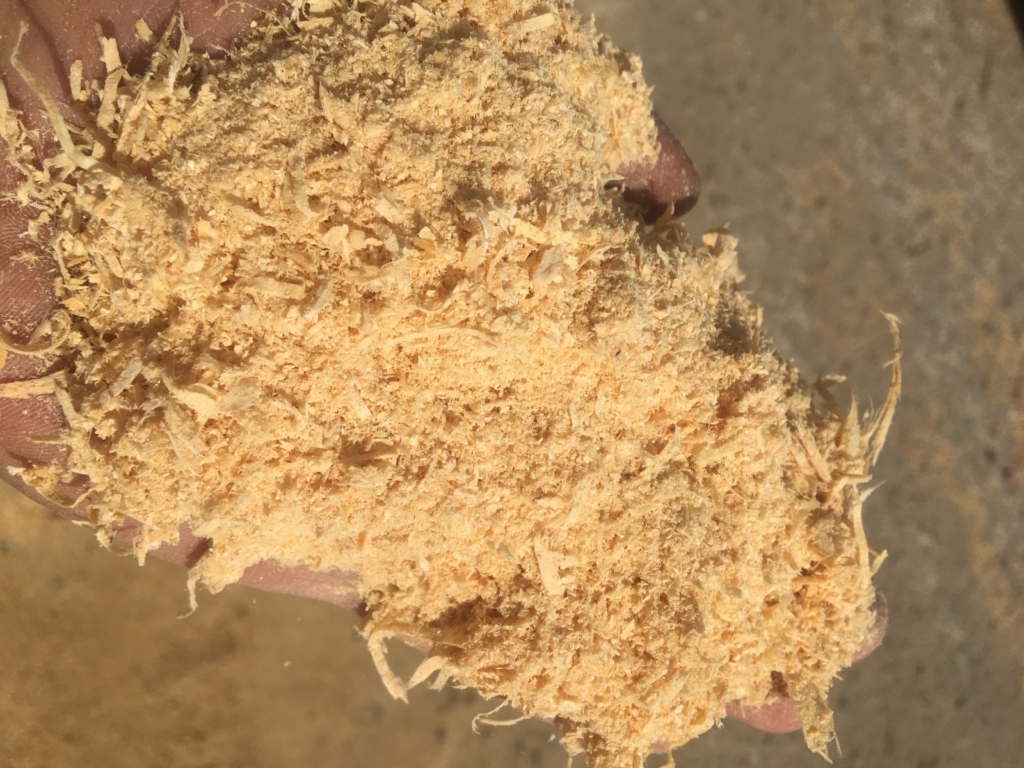 WhatsApp Image 2024-11-16 at 05.53.24 (1)