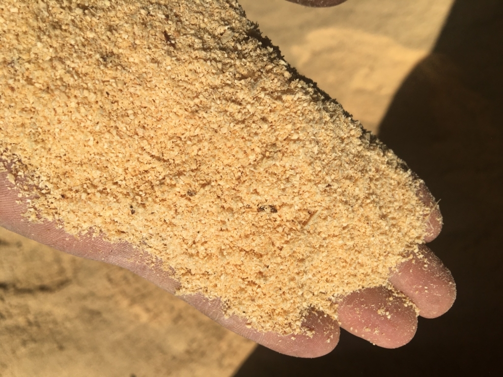 WhatsApp Image 2024-11-16 at 05.53.24