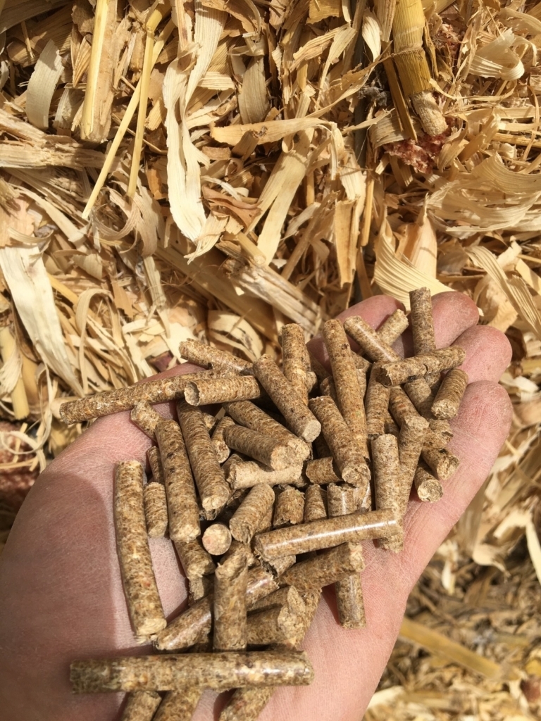 WhatsApp Image 2024-11-16 at 05.55.56