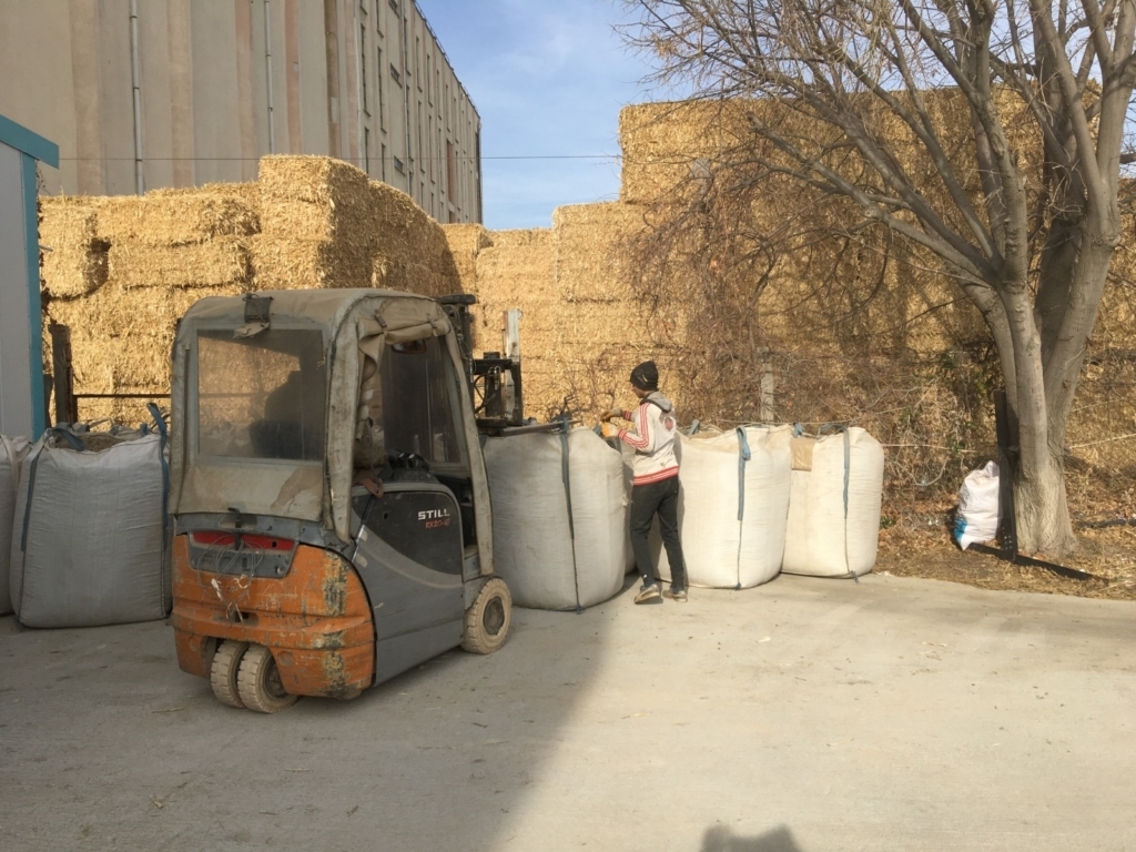 WhatsApp Image 2024-11-16 at 05.55.59 (1)