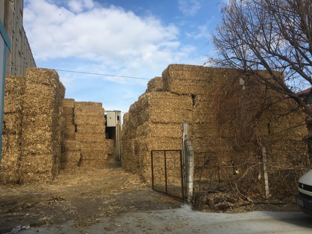 WhatsApp Image 2024-11-16 at 05.55.59