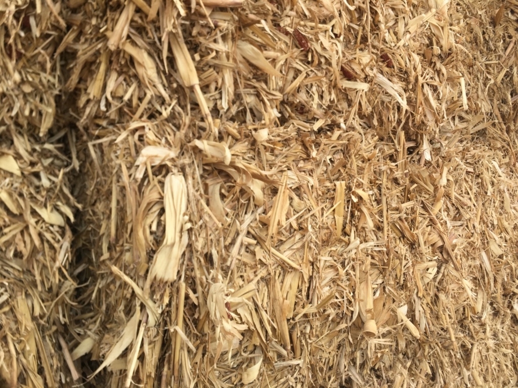 WhatsApp Image 2024-11-16 at 05.56.00