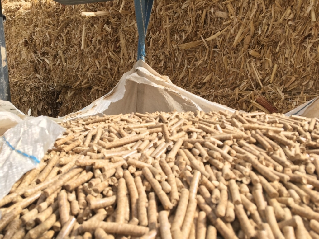 WhatsApp Image 2024-11-16 at 05.56.00 (2)