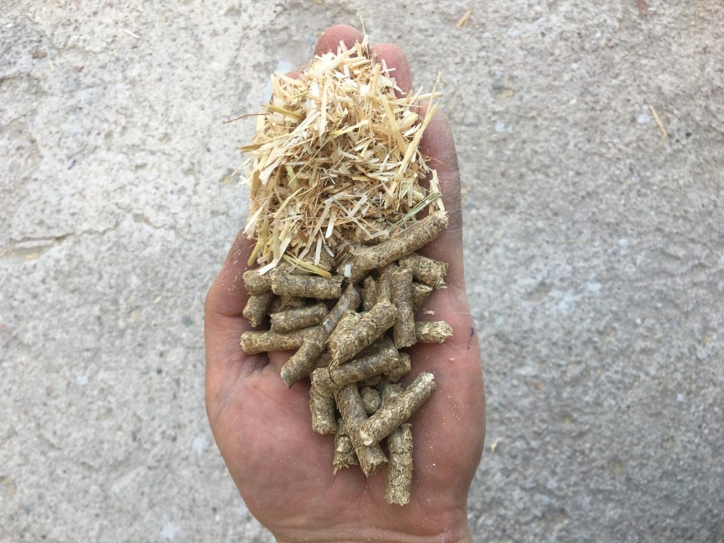 WhatsApp Image 2024-11-16 at 05.56.25 (1)