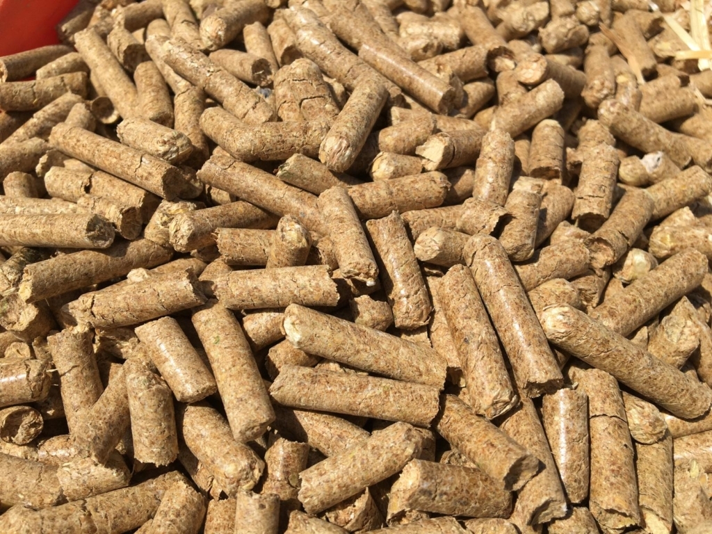 WhatsApp Image 2024-11-16 at 05.56.25