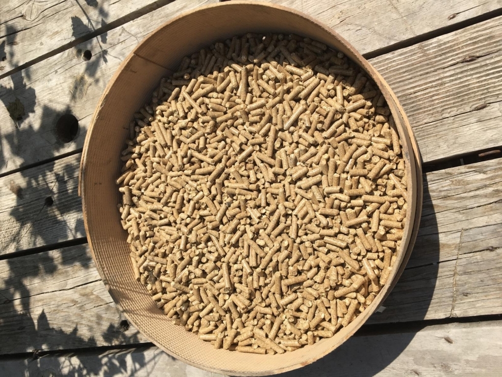 WhatsApp Image 2024-11-16 at 05.56.25 (2)