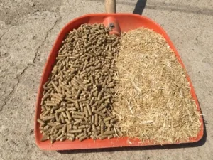 WhatsApp Image 2024-11-16 at 05.56.26