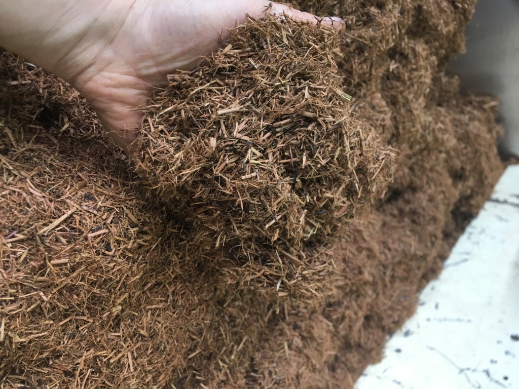 WhatsApp Image 2024-11-16 at 05.59.27