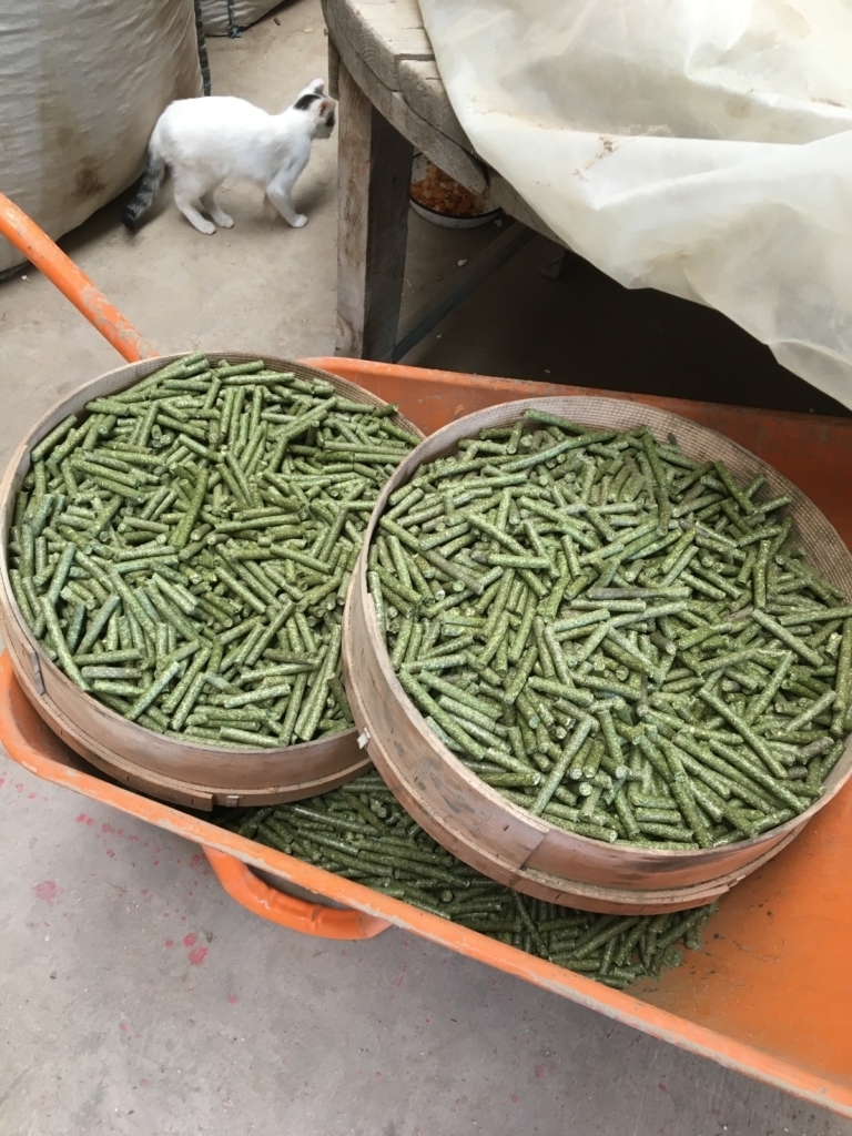 WhatsApp Image 2024-11-16 at 05.59.46