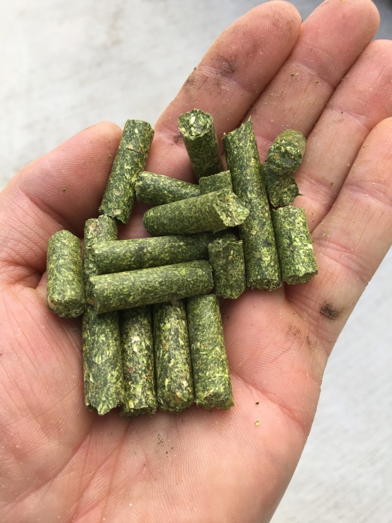 WhatsApp Image 2024-11-16 at 05.59.52