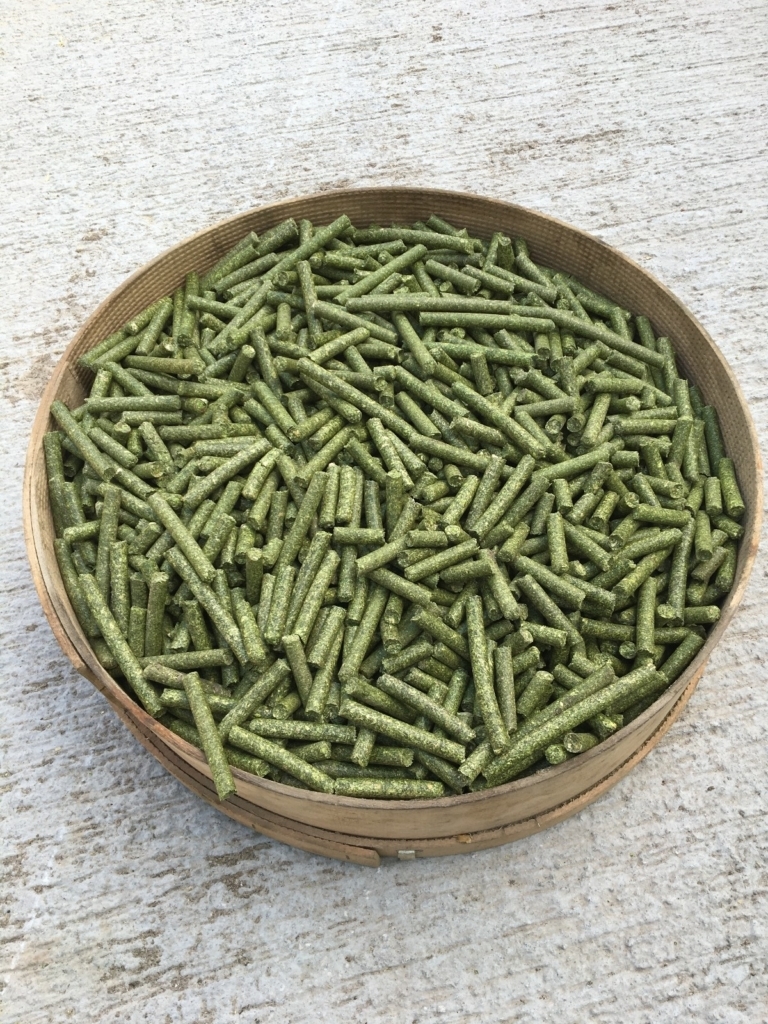 WhatsApp Image 2024-11-16 at 05.59.57