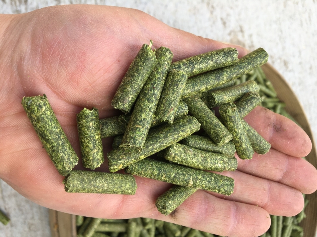 WhatsApp Image 2024-11-16 at 06.00.00