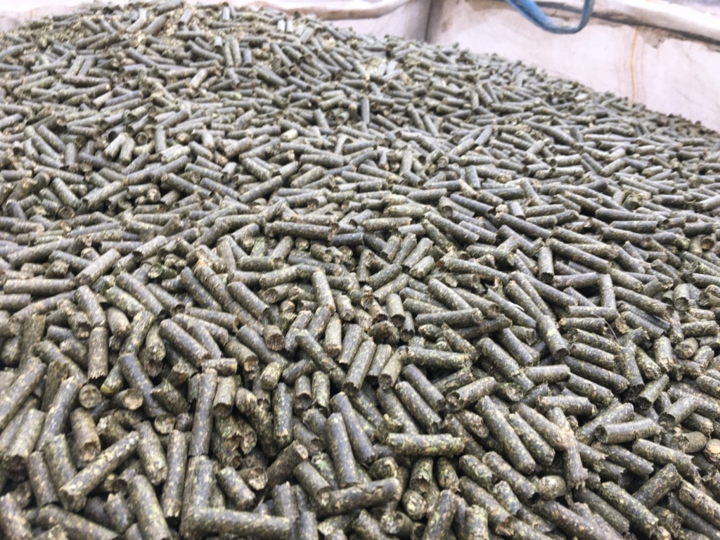 WhatsApp Image 2024-11-16 at 06.00.03