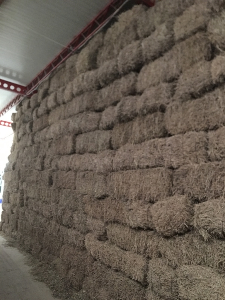 WhatsApp Image 2024-11-16 at 06.00.06