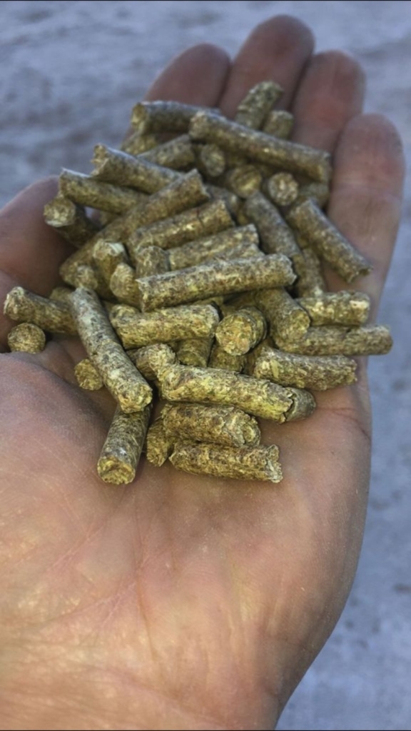 WhatsApp Image 2024-11-16 at 06.00.17 (1)