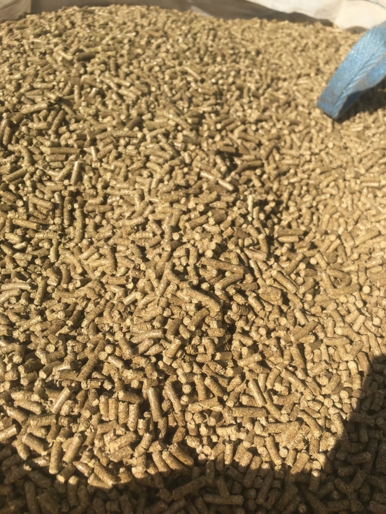 WhatsApp Image 2024-11-16 at 06.00.17 (2)