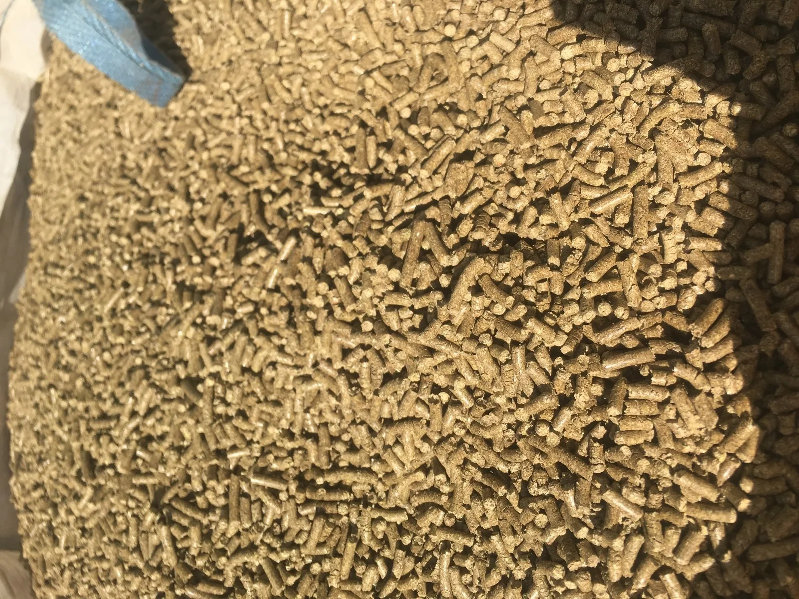 WhatsApp Image 2024-11-16 at 06.00.17 (2)