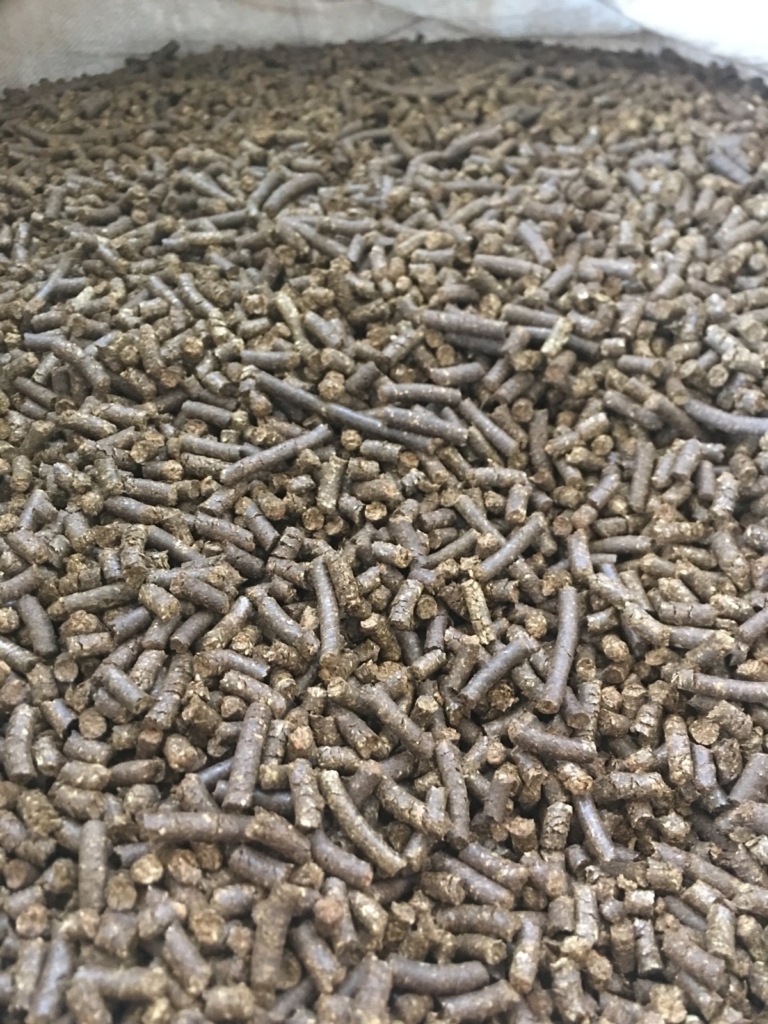 WhatsApp Image 2024-11-16 at 06.00.17 (3)