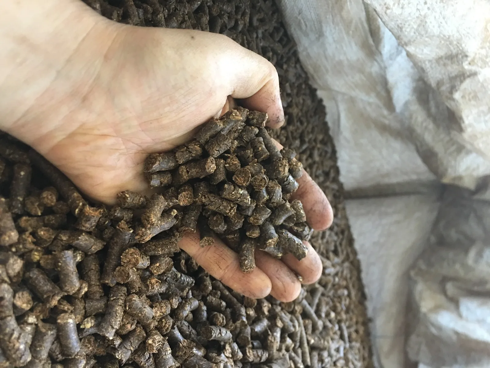 WhatsApp Image 2024-11-16 at 06.00.18