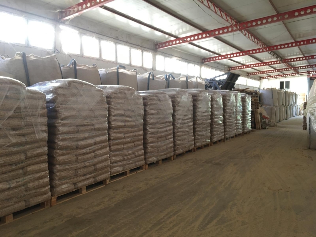 WhatsApp Image 2024-11-16 at 06.00.19 (1)