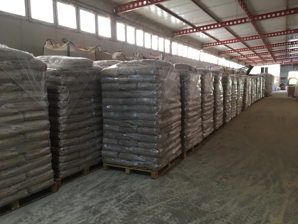 WhatsApp Image 2024-11-16 at 06.00.19