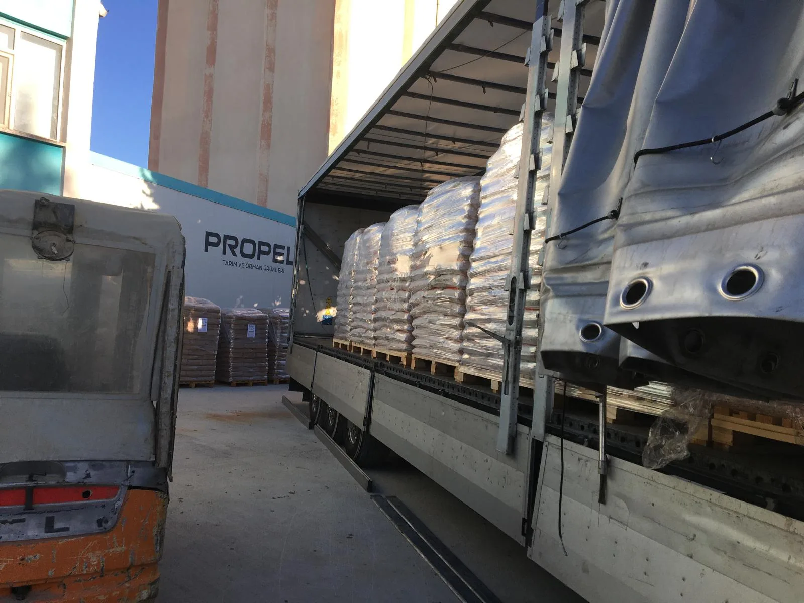 WhatsApp Image 2024-11-16 at 06.00.19 (3)