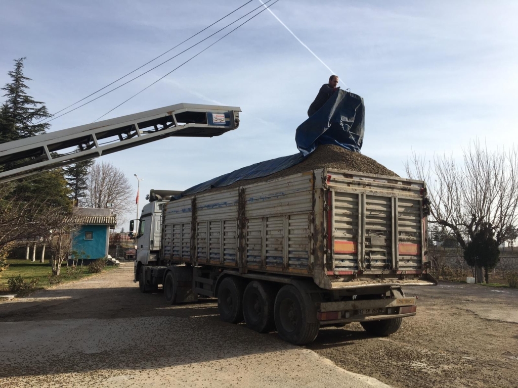 WhatsApp Image 2024-11-16 at 06.00.20 (1)