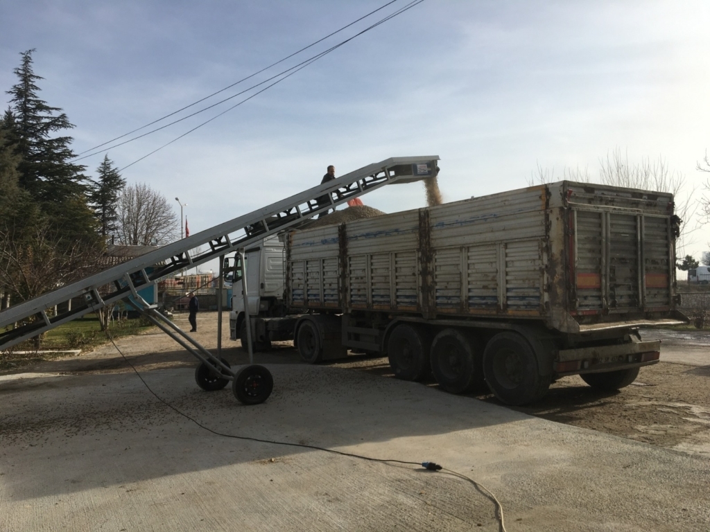 WhatsApp Image 2024-11-16 at 06.00.20 (2)