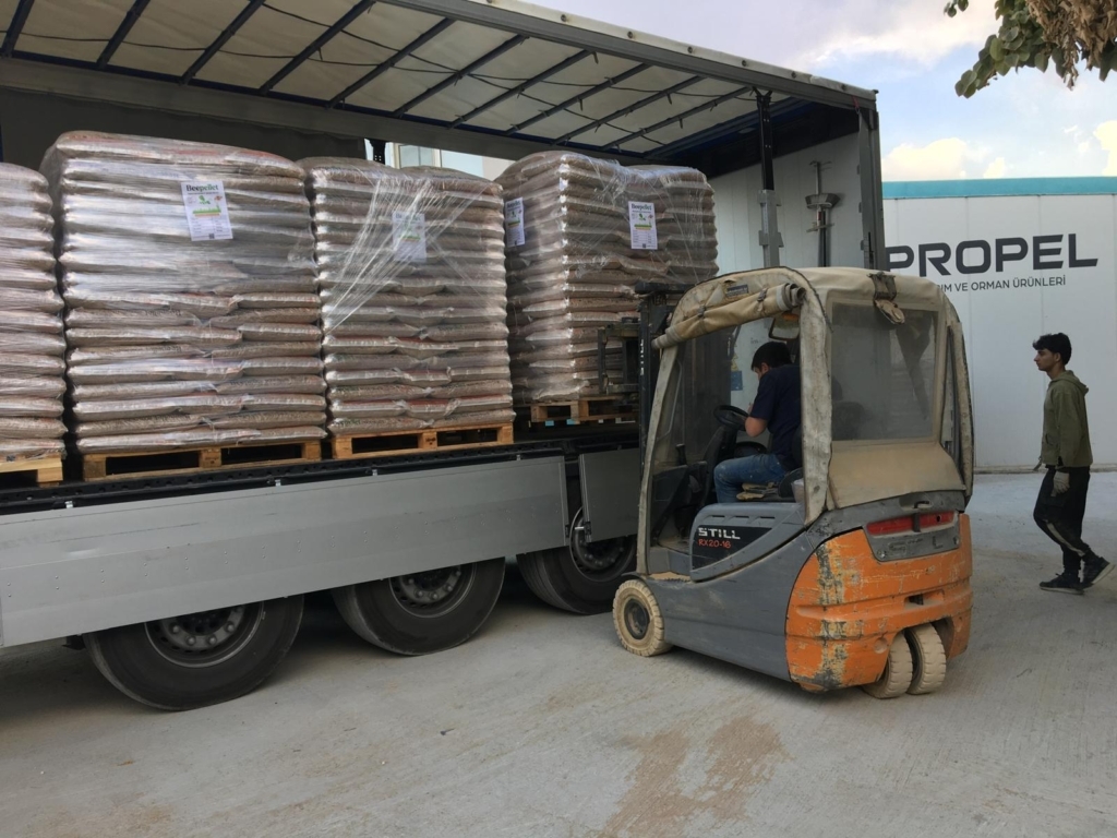 WhatsApp Image 2024-11-16 at 06.00.20