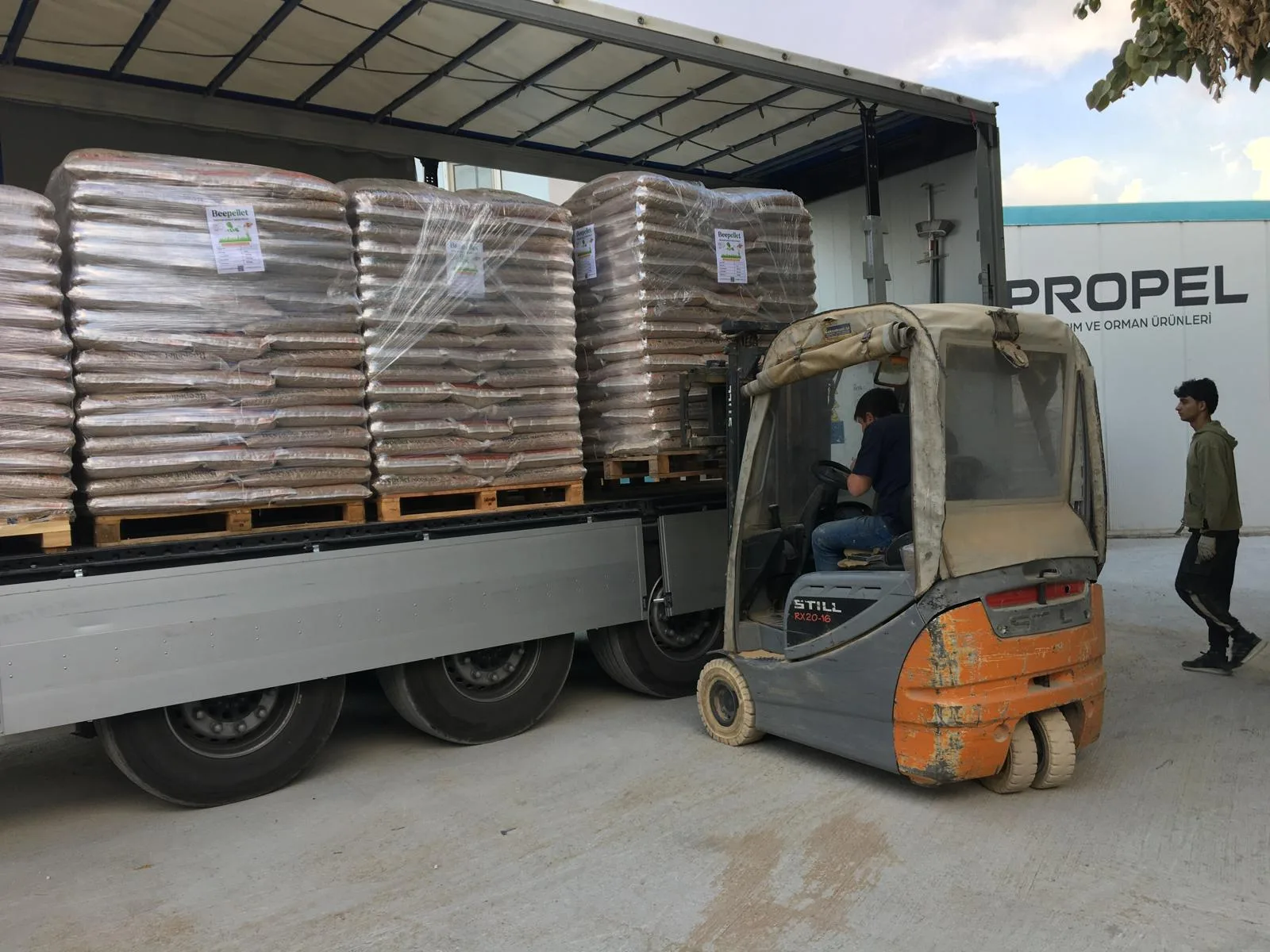 WhatsApp Image 2024-11-16 at 06.00.20