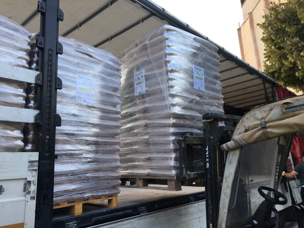 WhatsApp Image 2024-11-16 at 06.00.21 (1)