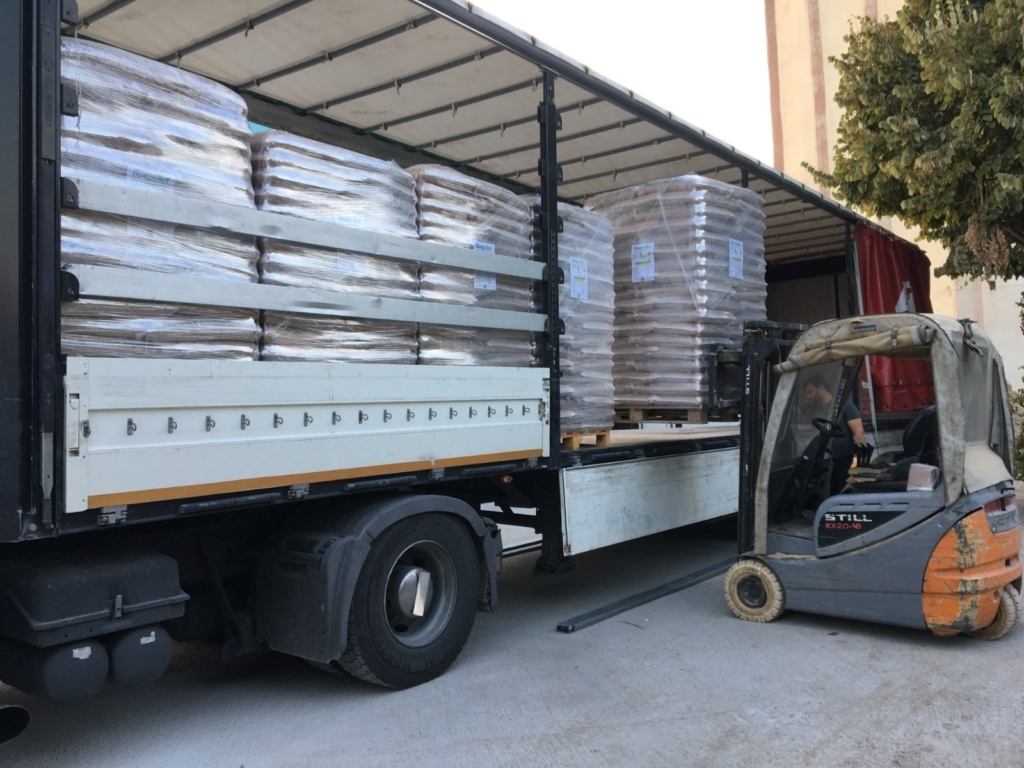 WhatsApp Image 2024-11-16 at 06.00.21